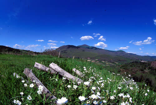 L'Amiata vista dal Parco Faunistico